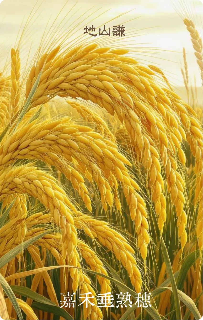 地山谦卦卡牌正面:嘉禾垂穗