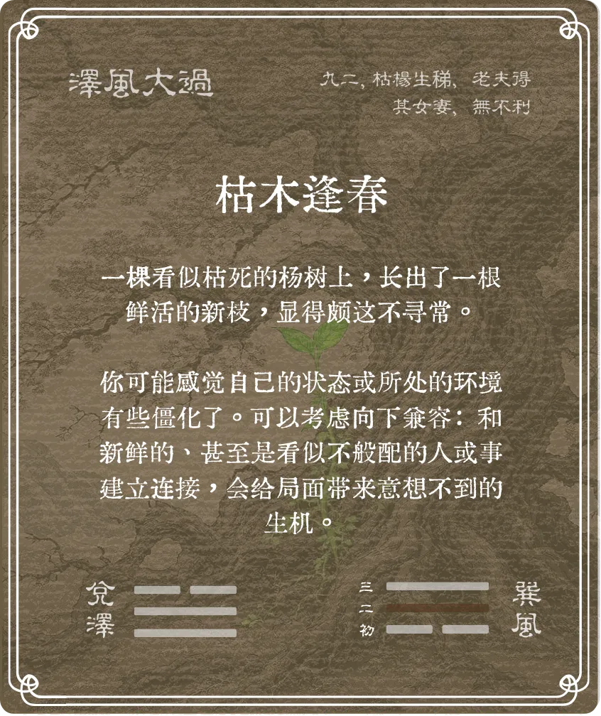 大过卦九二爻背面