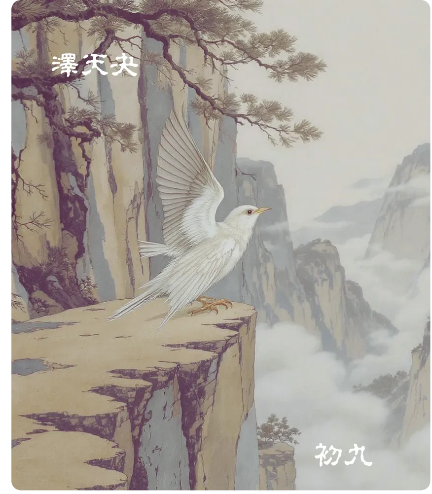 夬卦初九爻卡——壮于前趾