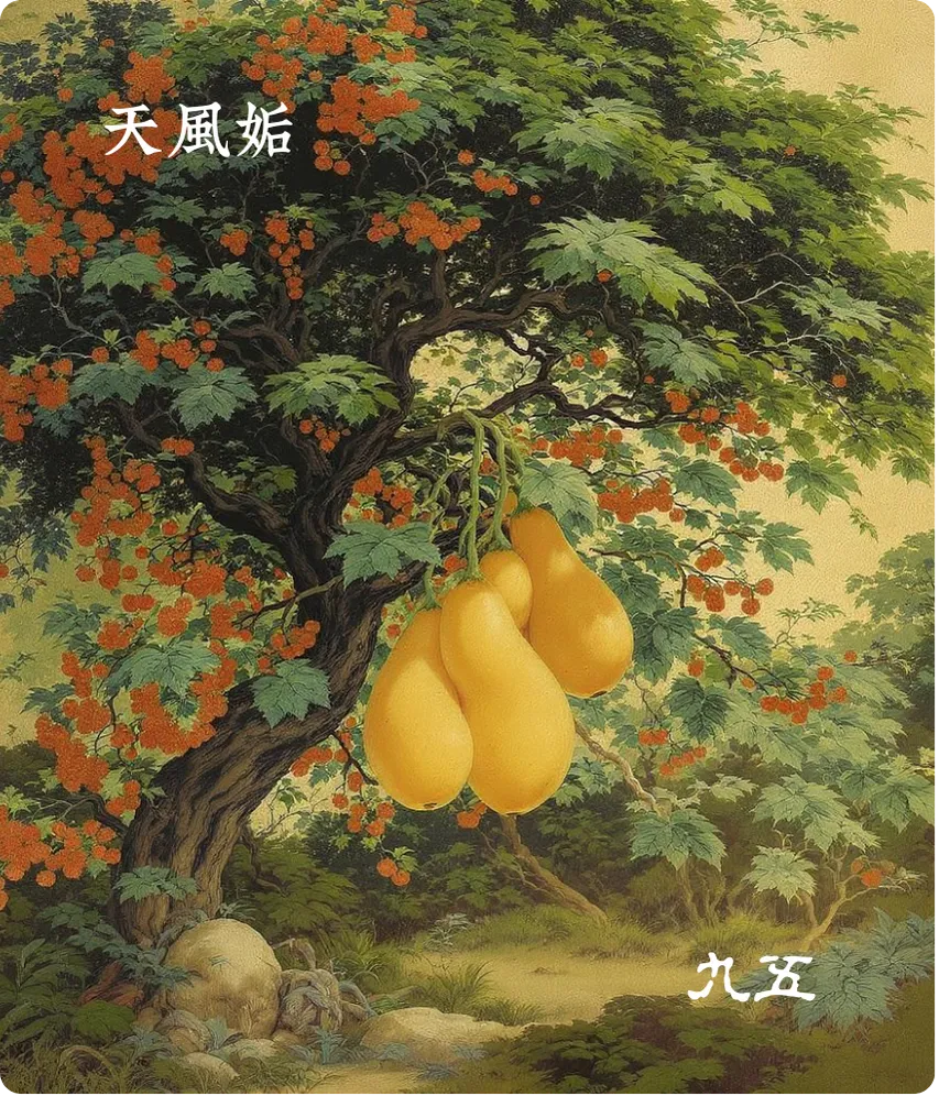 姤卦九五爻卡——以杞包瓜