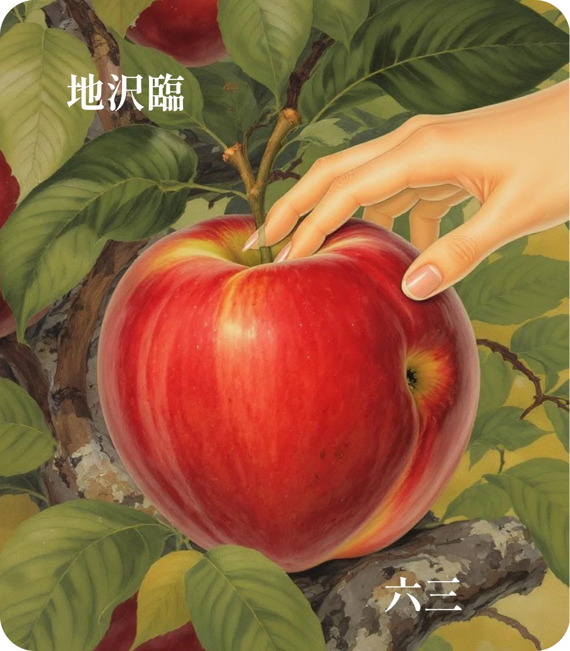 臨卦六三爻カード：甘臨