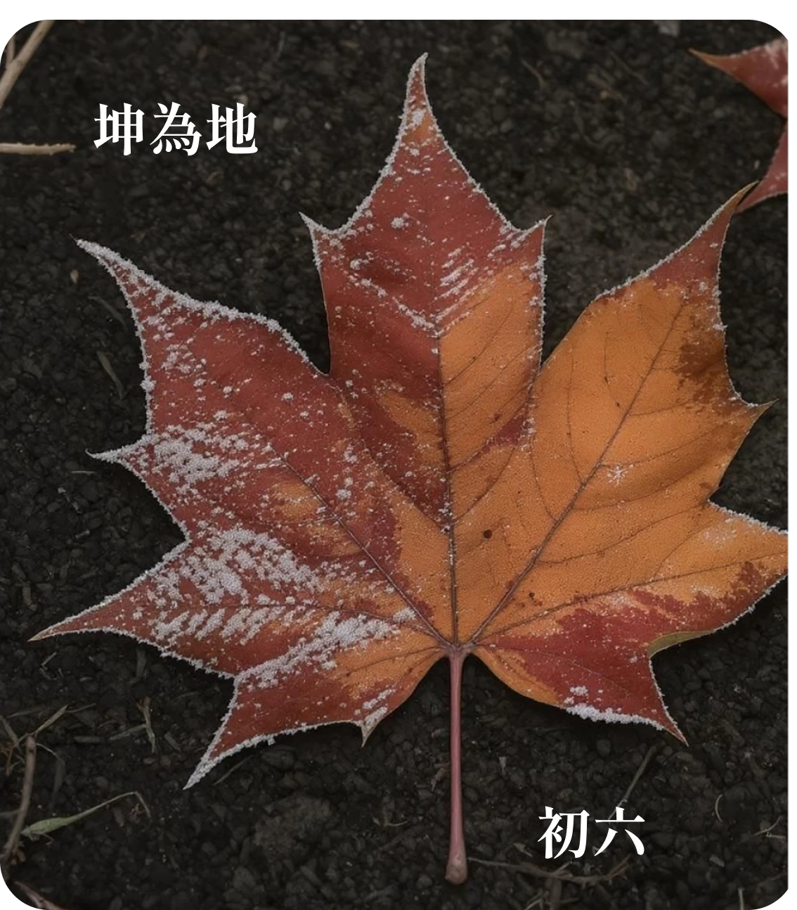 坤卦初六爻カード:履霜堅氷至