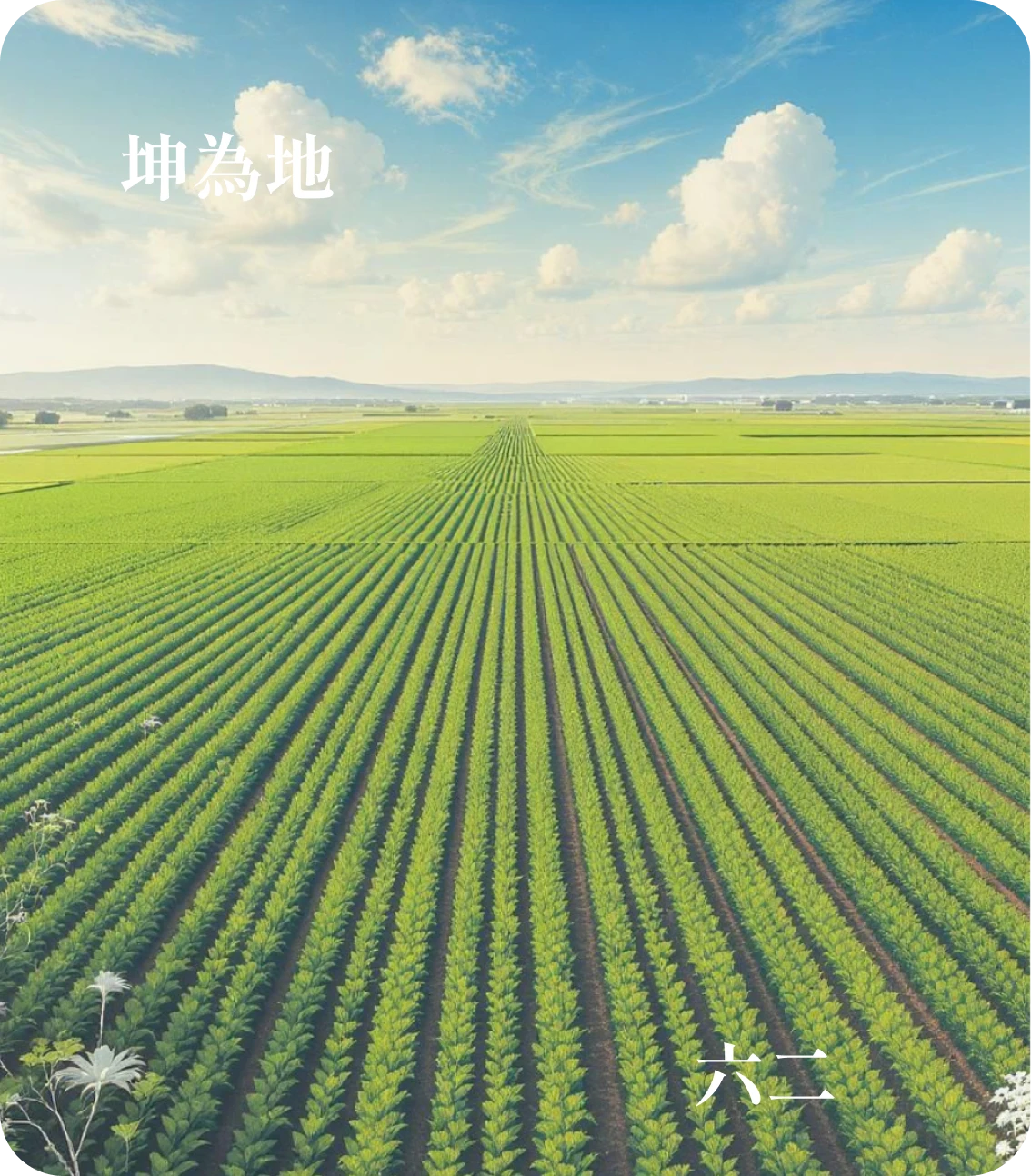 坤卦六二爻カード:直方大