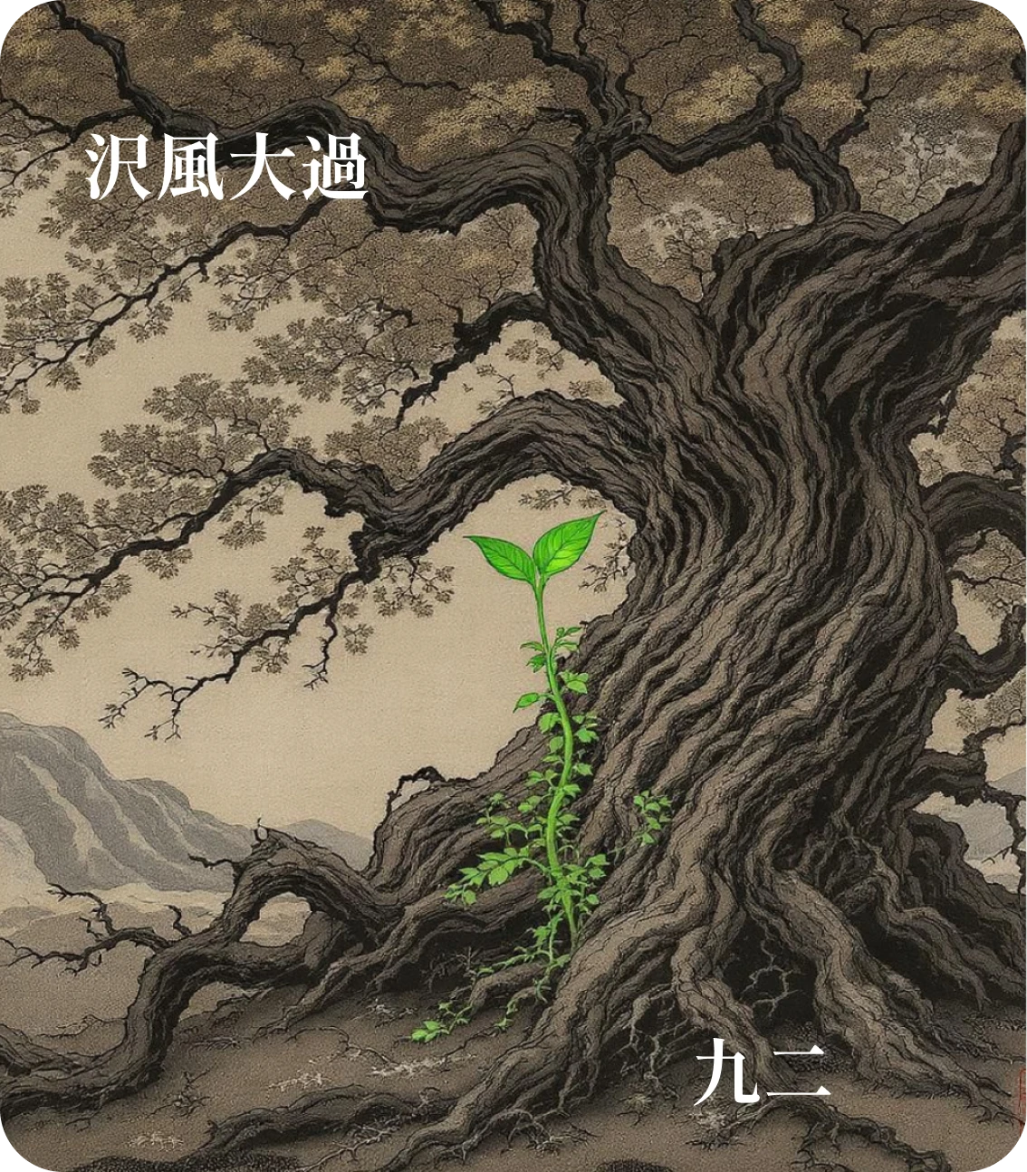 大過卦九二爻カード:枯楊生稊