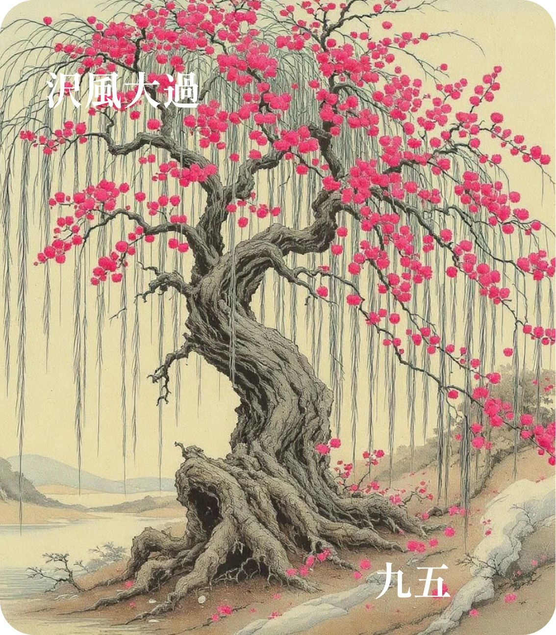 大過卦九五爻カード:枯楊生華