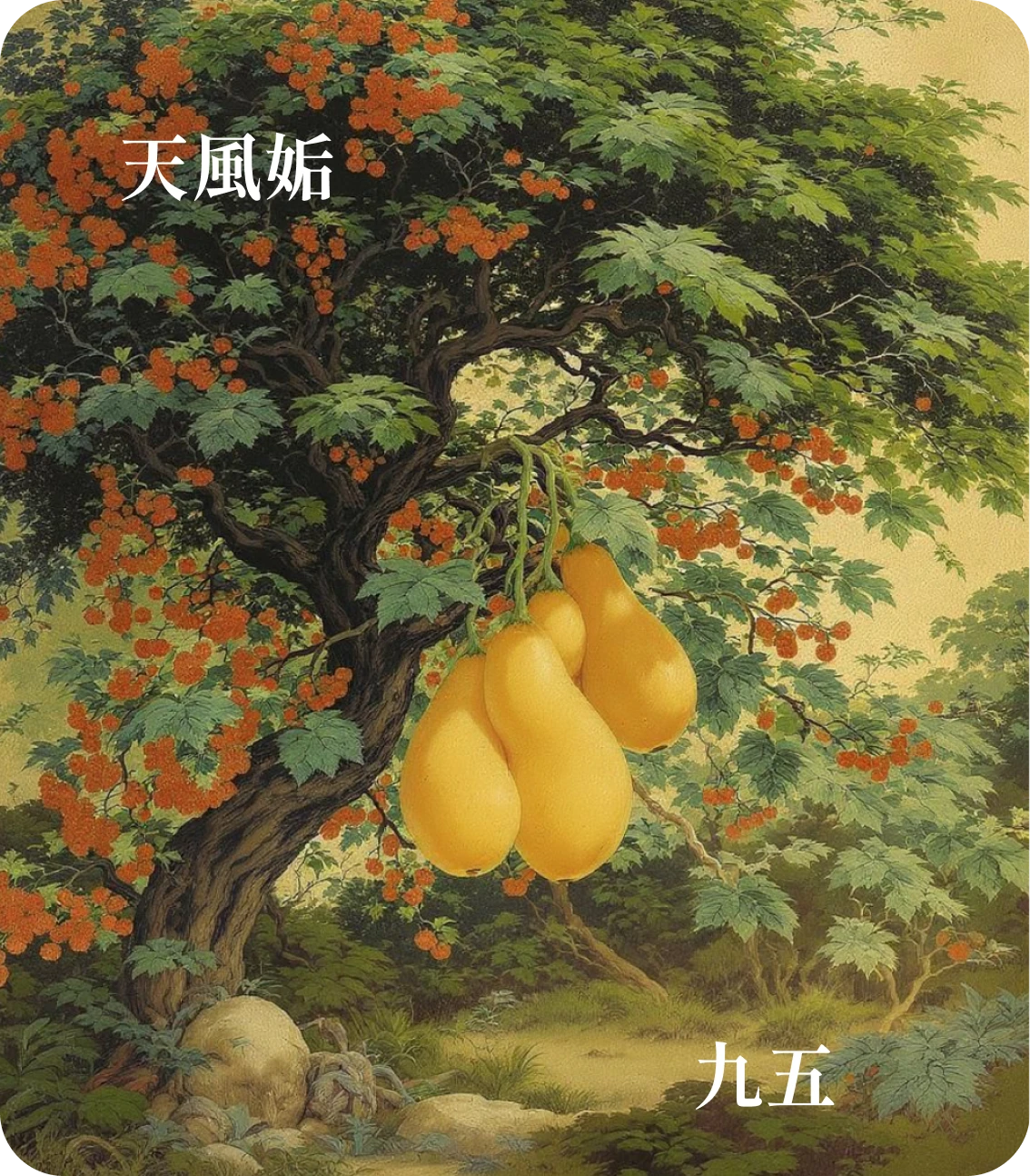 姤卦九五爻カード:以杞包瓜
