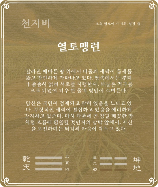 비괘 초육효 카드 뒷면