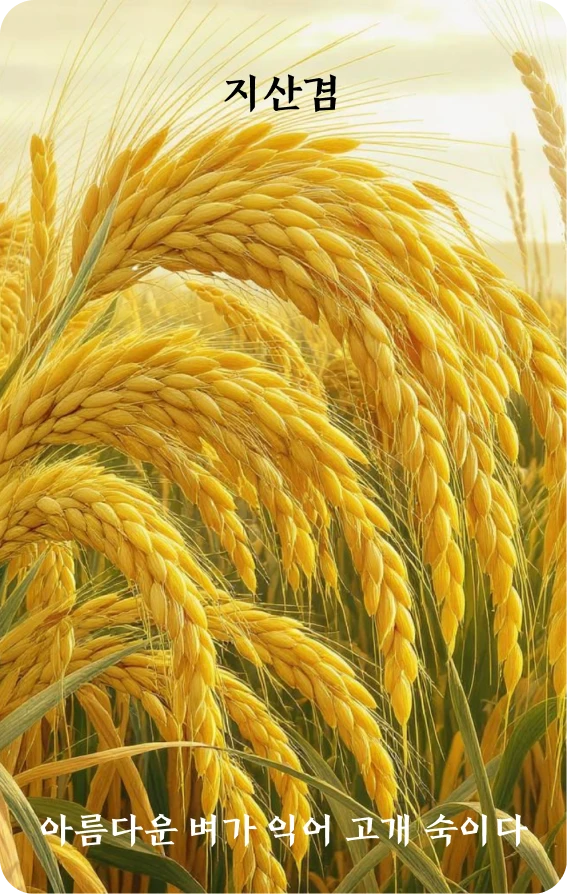 겸괘 카드 앞면: 겸손·가화수숙수(嘉禾垂熟穗)