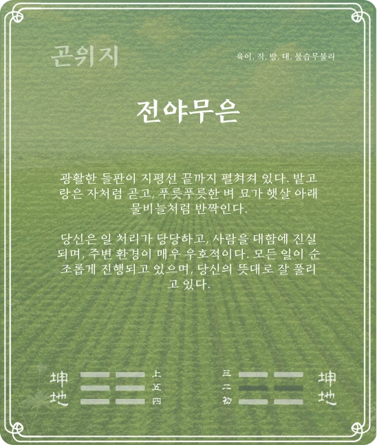 곤괘 육이효 카드 뒷면