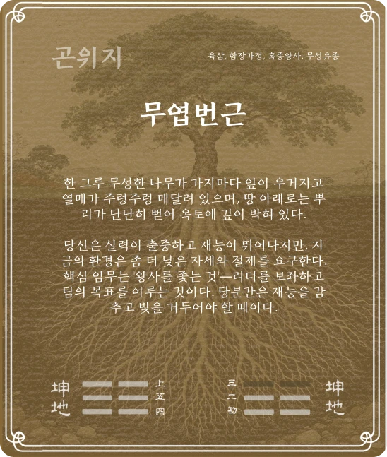 곤괘 육삼효 카드 뒷면