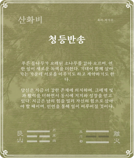 비괘 육이효 카드 뒷면