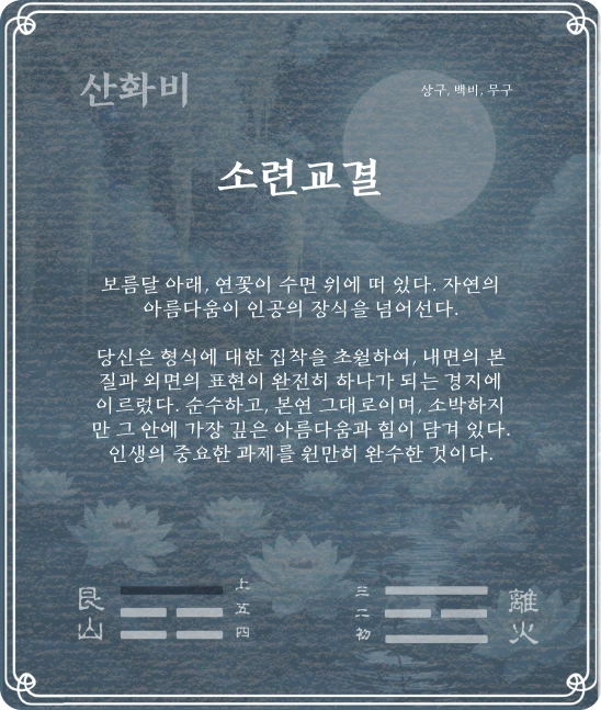 비괘 상구효 카드 뒷면