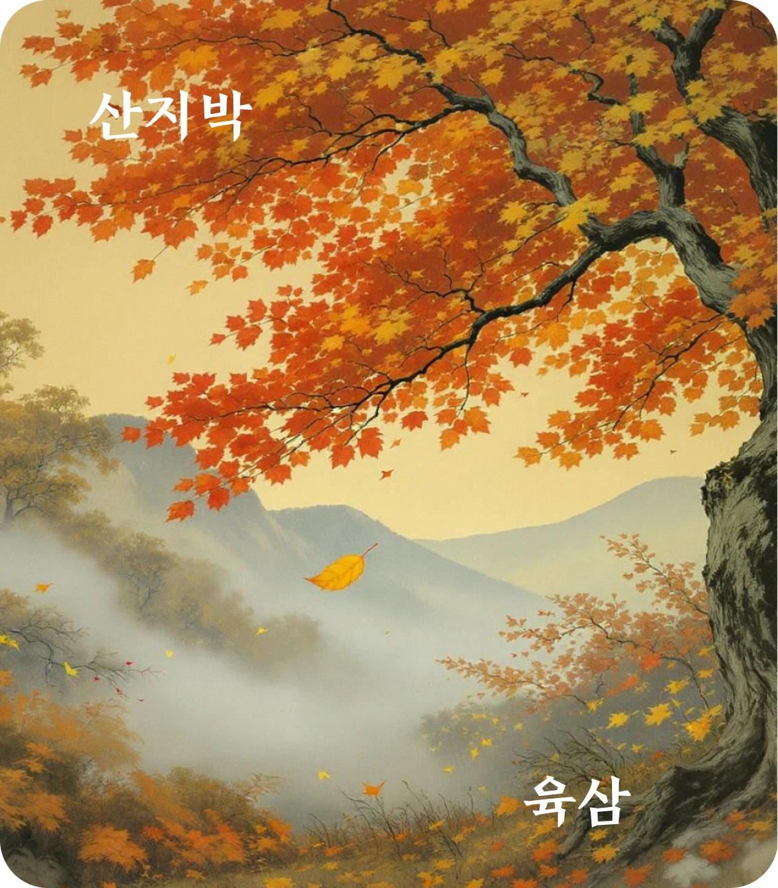 박괘 육삼 효 카드: 박지무구