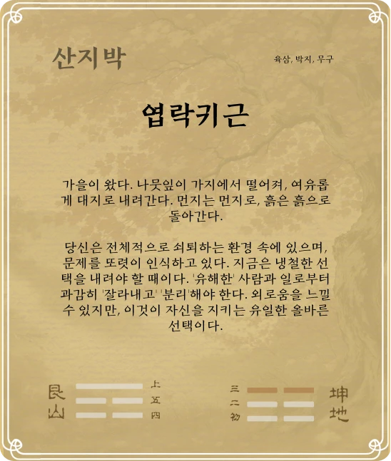 박괘 육삼효 카드 뒷면