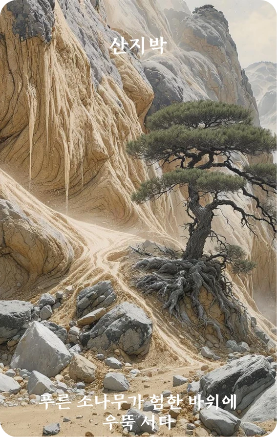 박괘 카드 앞면: 박락·청송치참암(靑松峙巉巖)