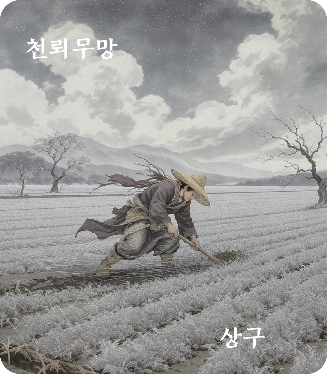 무망괘 상구 효 카드: 행유미