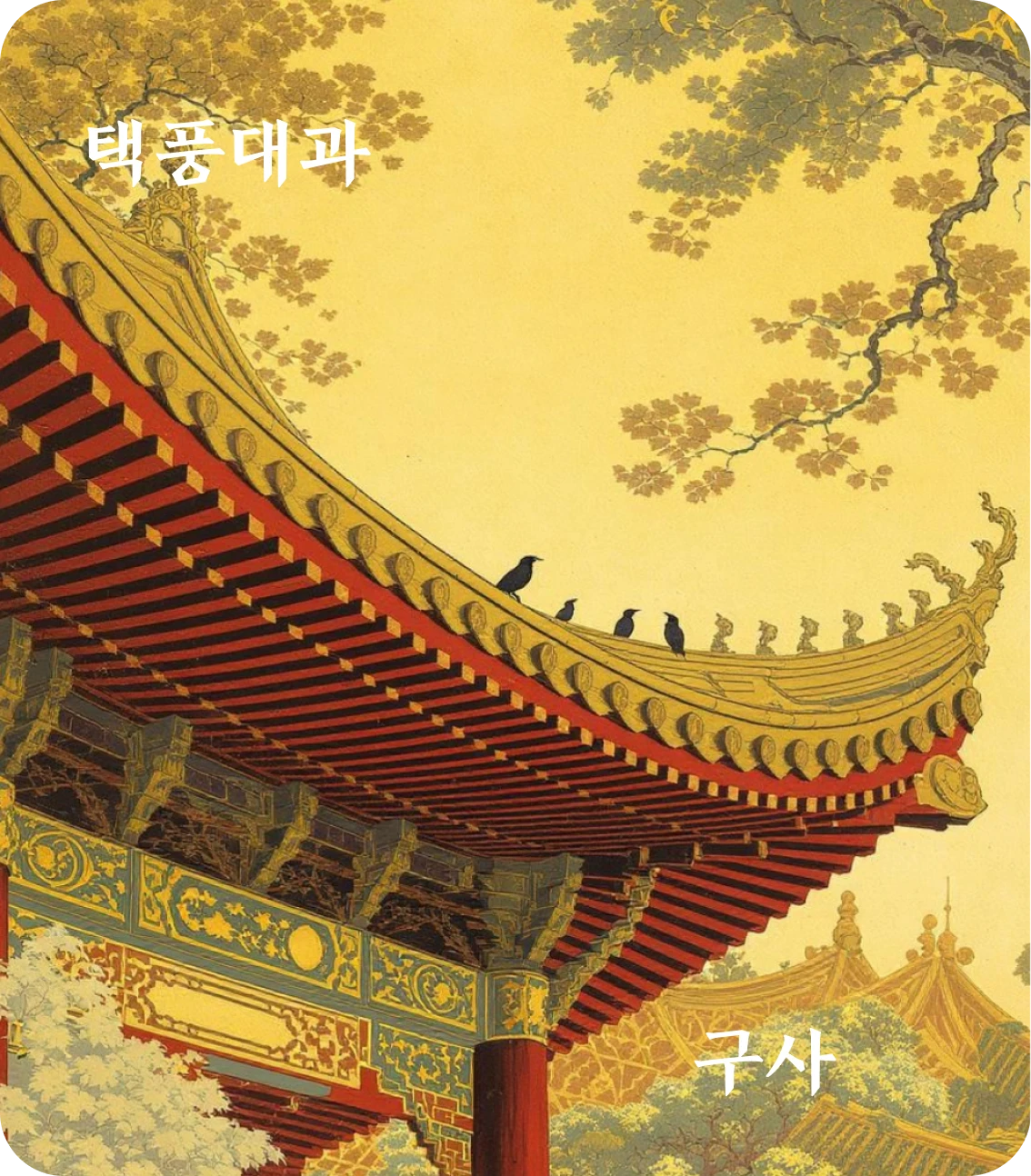 대과괘 구사 효 카드: 동륭