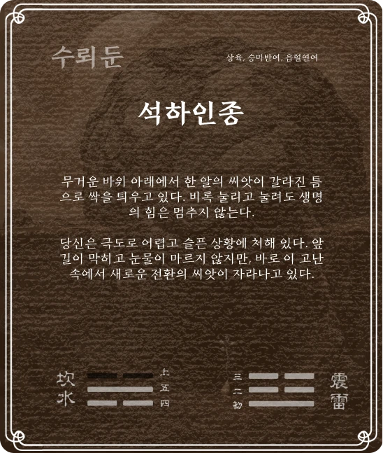 준괘 상육효 카드 뒷면