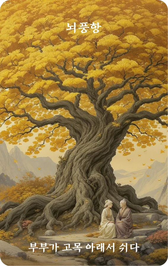 항괘 카드 앞면: 항구·부부해고수(夫婦偕古樹)