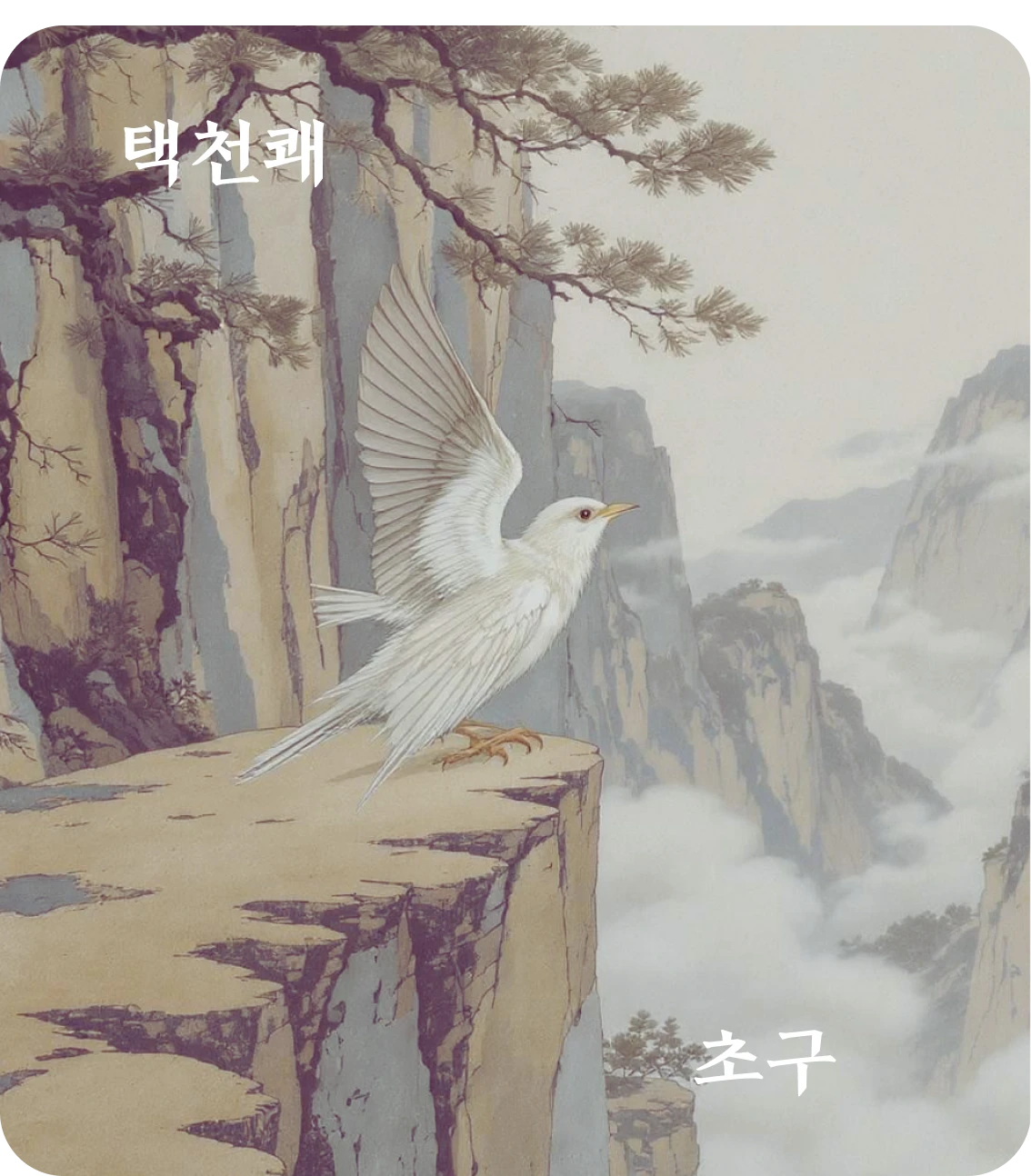 쾌괘 초구 효 카드: 장우전지