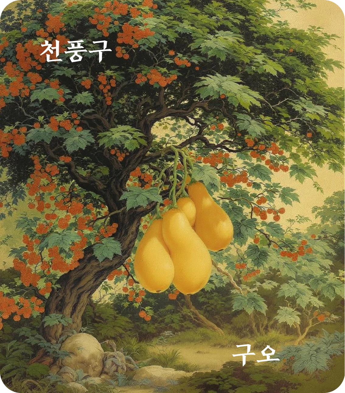 구괘 구오 효 카드: 이기포과