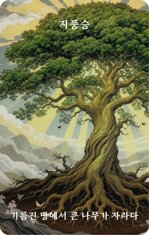 승괘 카드 앞면: 상승·옥토생대목(沃土生大木)