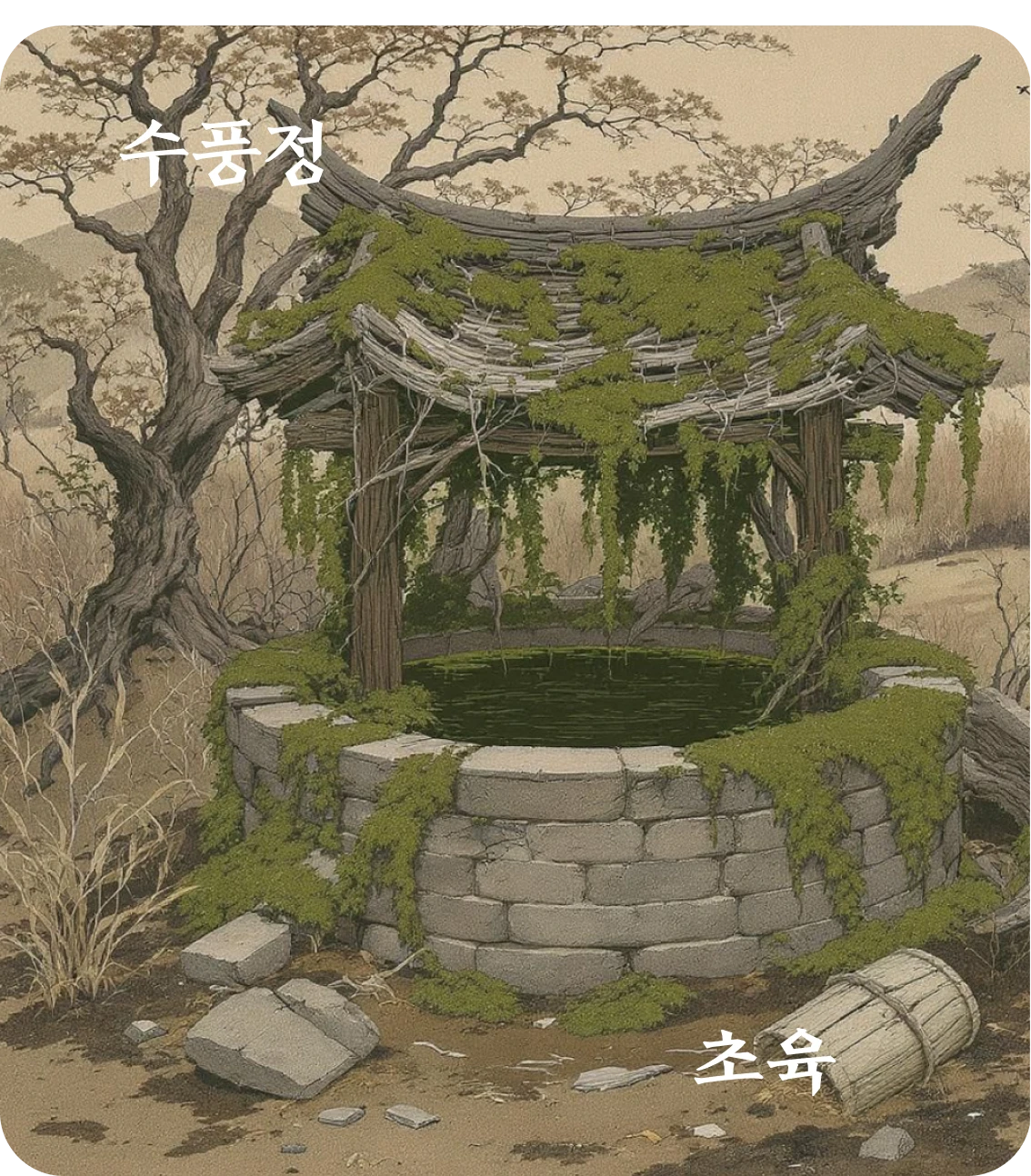 정괘 초육 효 카드: 정니불식