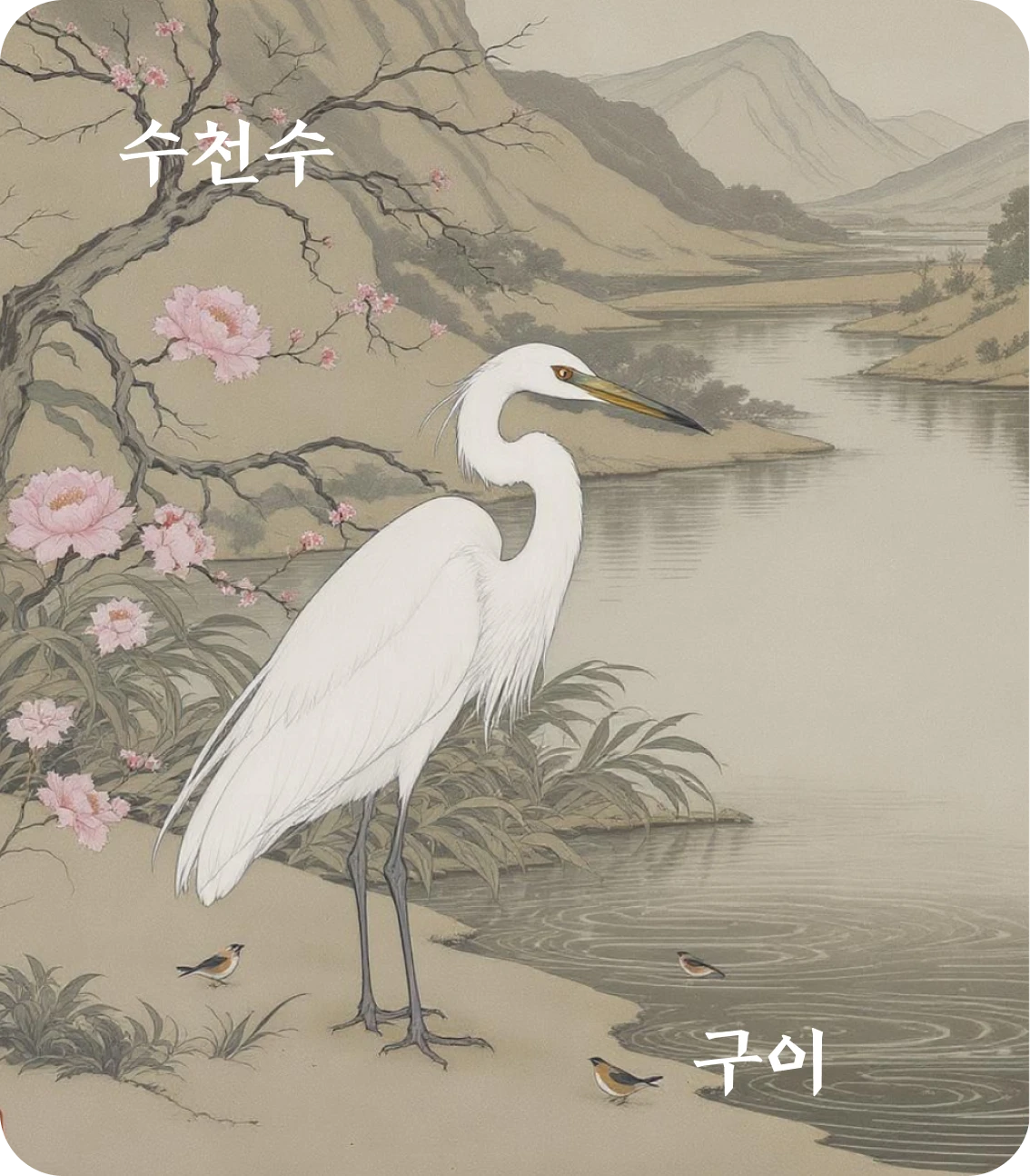 수괘 구이 효 카드: 수어사