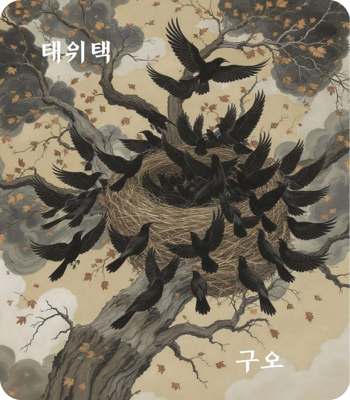 태괘 구오 효 카드: 부우박