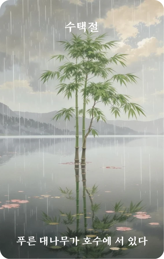 절괘 카드 앞면: 절제·청죽립호택(靑竹立湖澤)