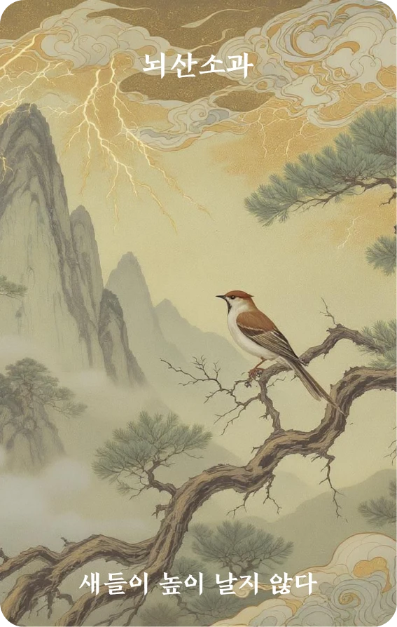 소과괘 카드 앞면: 미거·조작불고비(鳥雀不高飛)