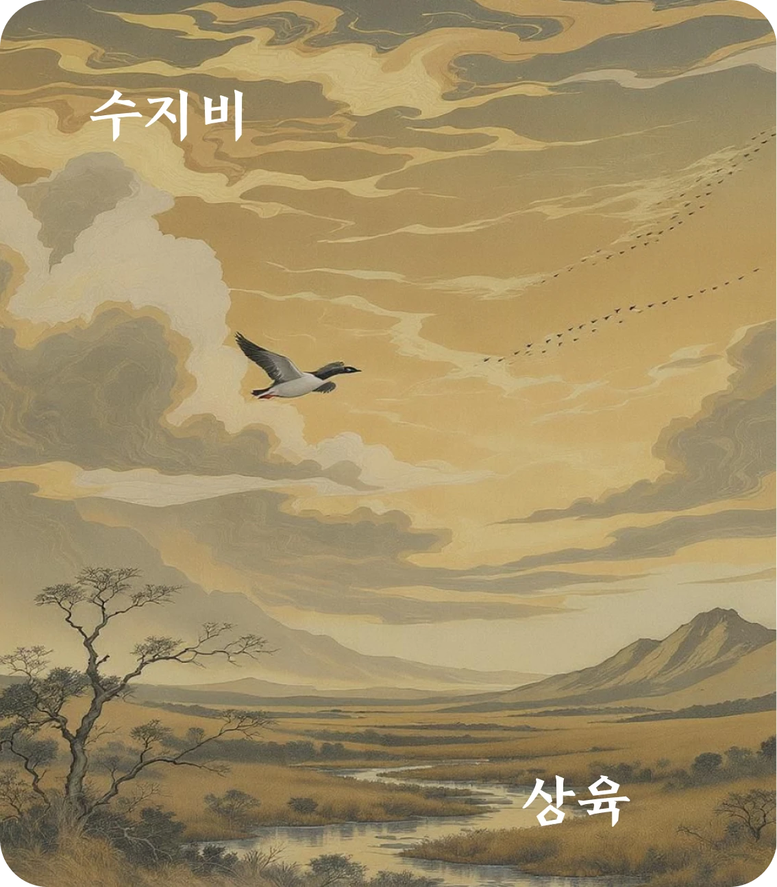 비괘 상육 효 카드: 비지무수