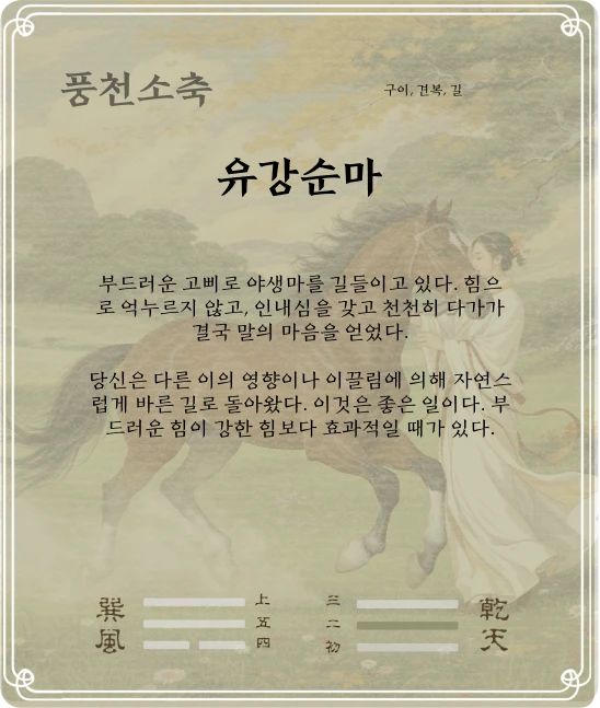 소축괘 구이효 카드 뒷면