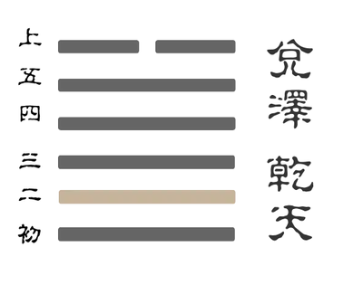 夬卦九二爻卦象